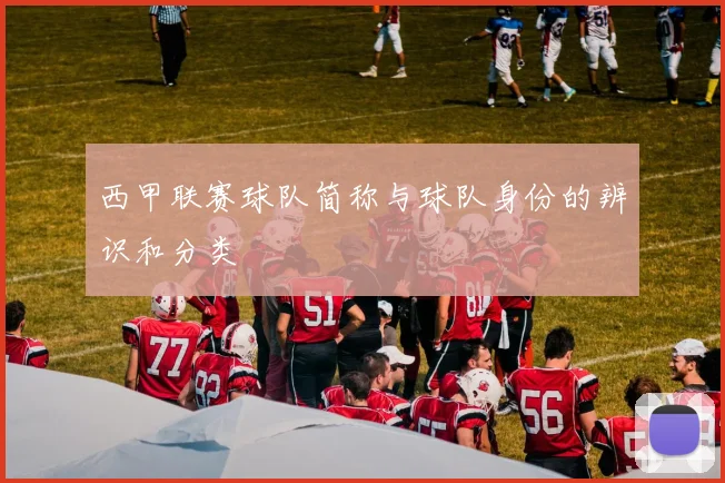 西甲联赛球队简称与球队身份的辨识和分类