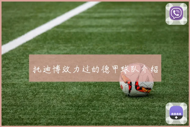 托迪博效力过的德甲球队介绍